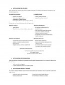 ARTICULACIONES DE LOS ARCOS