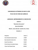 Naturaleza del proyecto Galletas Wapiv