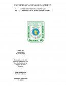 Problemas y Soluciones de los perros en las Calles de la region de San Martin