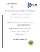 PLANEACIÓN ESTRATÉGICA DE LA EMPRESA