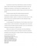 Trastorno de espectro autista (TEA)