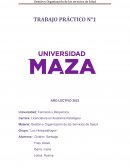 Gestión y Organización de los Servicios de Salud