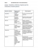 ANATOMOFISIOLOGÍA Y PATOLOGÍAS BÁSICAS