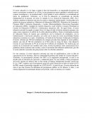 NEGOCIOS INTERNACIONLES