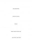 Desarrollo de productos. Jugo de néctar, ¿sabor naranja?