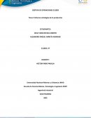 Informe estrategias de la producción