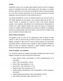 Análisis mapas de flujo