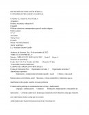 Políticas educativas contemporáneas para el medio indígena