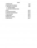 Estructura Plan de Marketing