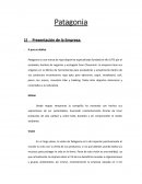 Patagonia Presentación de la Empresa