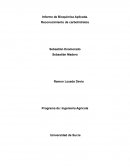 Informe de Bioquímica Aplicada. Reconocimiento de carbohidratos