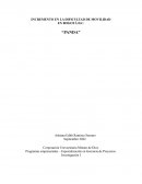 Programas empresariales – Especialización en Gerencia de Proyectos PANDA