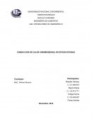 CONDUCCION DE CALOR UNIDIMENSIONAL EN ESTADO ESTABLE