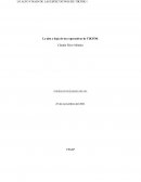 Ensayo sobre las espectativas de tiktok