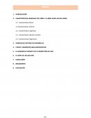 CARACTERÍSTICAS GENERALES DEL NIÑO Y LA NIÑA HASTA LOS SEIS AÑOS