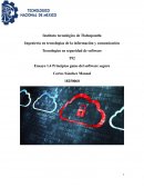 Principios guías del software seguro