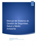 Manual del SG de Seguridad, Salud y Medio Ambiente