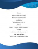 Ensayo “Tipos de análisis financiero”