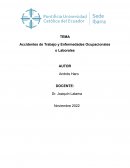 Accidentes de Trabajo y Enfermedades Ocupacionales o Laborales