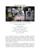 Reseña el Paso de la Tortuga