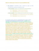 Acciones cotidianas que nos permiten disminuir los gases