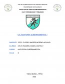 Auditoria gubernamental