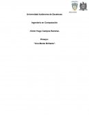 Ensayo: “Una Mente Brillante”