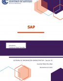 TRABAJO DE INVESTIGACIÓN SAP
