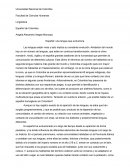 Español: una lengua que evoluciona