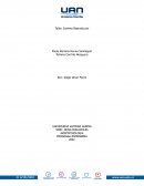 MORFOFISIOLOGIA PROGRAMA:ENFERMERIA