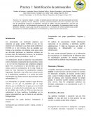Practica 1: Identificación de aminoacidos