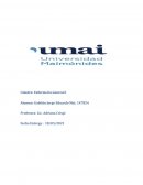 El Proceso de Atención de Enfermería