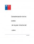 Caracterización de los costos del cobre
