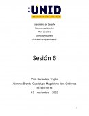 Plan ejecutivo Derecho Aduanero