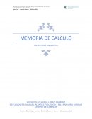 MEMORIA DE CALCULO PRE-ENTREGA PAVIMENTOS