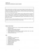 ANÀLISIS DE SISTEMES DE CUES DE ESPERA