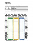 REPASO PRIMARIA, LENGUA