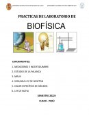 PRACTICA BIOFISICA