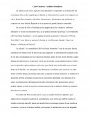 Apuntes y analisis pelicula sonámbulos, claro oscuro y texto sobre vínculos y familia