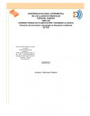 APORTES DE LAS TEORÍAS DEL APRENDIZAJE AL DISEÑO INSTRUCCIONAL EN EVEA