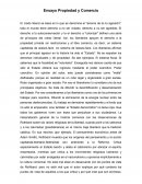 Propiedad y comercio