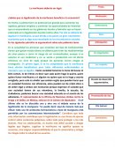 ¿Sabías que La legalización de la marihuana beneficia a la economía?