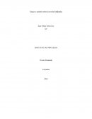 Ensayo y opinión sobre la novela Siddhartha