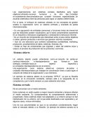 Organizacion como sistema