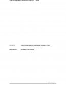 HABILITACION URBANA PALMERAS DE PARACAS - I ETAPA