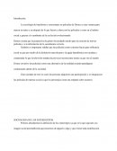 SOCIOLOGIA DEL MACHISMO Y ESTEREOTIPOS USADOS EN PELICULAS DE DISNEY