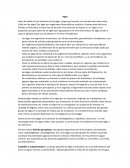 Las algas y sus divisiones