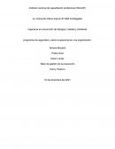 Programas de seguridad y salud ocupacional en una organización