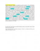 Estado de resultados empresa acid Orange