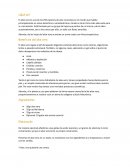 Beneficios del aloe vera